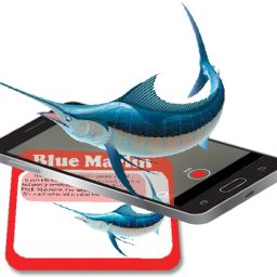 sea animals toys for kids - augmented reality animal set fish toys for kids-image-10