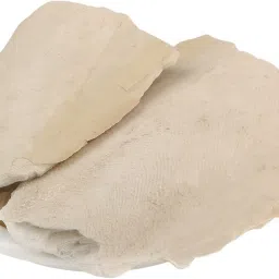 SAMANDAR JHAG/SEA FOAM/SAMUNDER JHAG/SAMUNDER FAN Seed-image-7