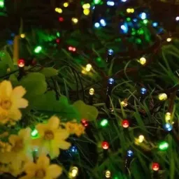 100 LEDs 25 m Multicolor Color Changing, Flickering, Steady Disco Rice Lights-21