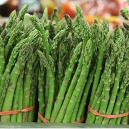 Herbal Plants For Growing - Asparagus Officinalis [2gm Seeds] Seed-image-79