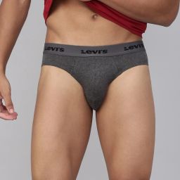 Contoured Double Pouch, Tag Free Comfort & Smartskin Technology Style# 009 Neo Solid Men Brief-picture-14