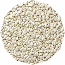 Safflow Seed Nuts 1 kg Dry Adult, Young Bird Food-28