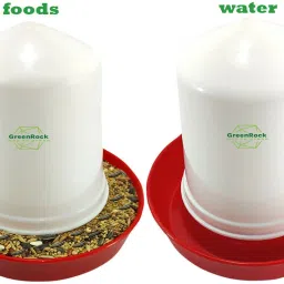 Common Bird Feeder-23