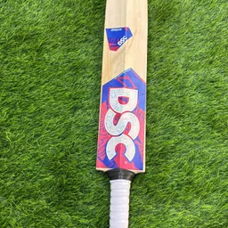 wcb vault sport DSC English Willow Cricket Bat For 15+ Yrs-picture-17