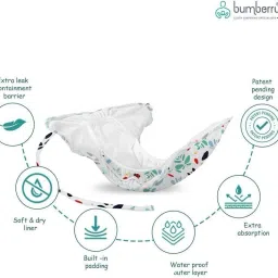 bumberry Baby Smart Nappy Reusable & Adjustable Cloth Diaper For Newborn (10-18 Months) image 2