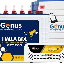 Winner 1200 Inverter with Trolley and GTT200 Tall Tubular Inverter Battery-image-21