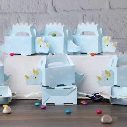 Printed Party Bag-20
