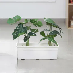 arick decor White Plastic Floor Planter-picture-37