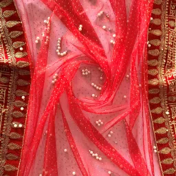 Net Embroidered Red Women Dupatta-picture-17