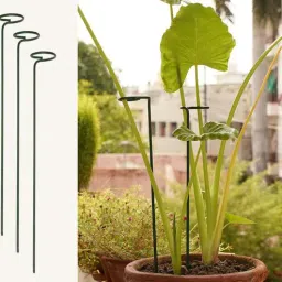 gold dust Green Metal (Set of 3) Plant Stake-picture-47