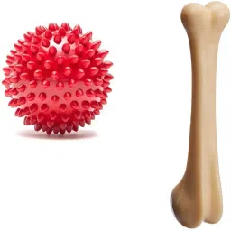 Furbies Toy Combo (Spike Ball+Nylon Bone medium Size) Nylon, Rubber Ball, Bone For Dog-image-14