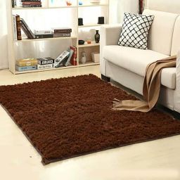 Brown Polypropylene Carpet-image-31