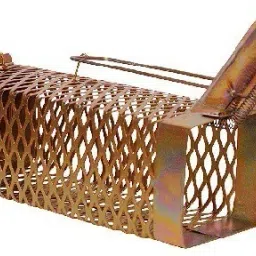 mouse-trap-cage-1 Live Trap-23