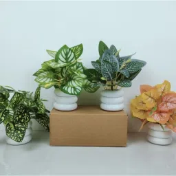 Small Size Pack Of 4 Bonsai Wild Artificial Plant with Pot (16 cm, Multicolor) Multicolor Wild Flower Artificial Flower with Pot-9