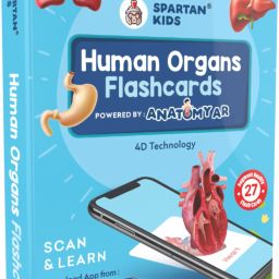 Human Organs Flash cards | Early Learning 4D Technology Flash Cards for Kids-24