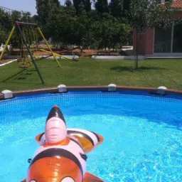 Inflatable toy-rider with handles fish, 157x94cm Multicolor Inflatable Pool Accessory-32