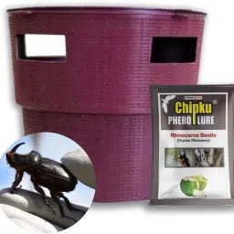 Pheromone Bucket Trap RB Rhinoceros Beetle (Oryctes Rhinoceros) Fertilizer-image-26