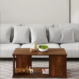 bluewud Noel Coffee Table In Brown Maple Finish-picture-9