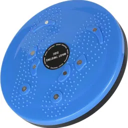 tummy Waist Twister For Abs and Core Tummy Twister Dics for Men and Women Ab Exerciser-19