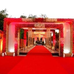 Red Polyester Carpet-picture-11