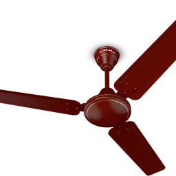 Crest Neo 1200 3 Blade Ceiling Fan-image-99