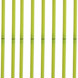 sas sports SAS-0298-BSP-JF58 Regular Agility Pole image 5