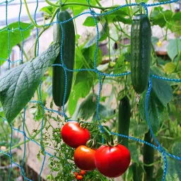 Garden 6x15.5 FT Trellis Netting for Climbing Plants Outdoor, Net 2x2 Inch Hiking Net-14