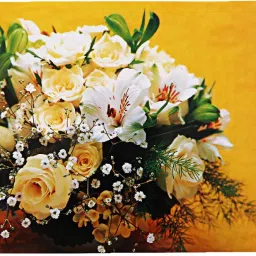 kuber industries Rectangular Pack of 6 Table Placemat image 2