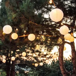 Hanging paper White Lantern 10Pack of L 12 inch 67 White Paper Hanging Lantern-22
