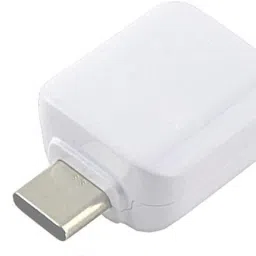 RECTITUDE USB Type C OTG Adapter image 2
