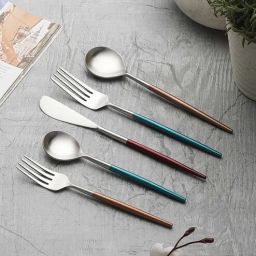 vareesha Radiant Multicolour Stainless Steel (Set of 5) Cutlery Set-picture-30