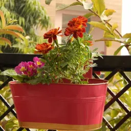 ecofynd 12 Inches Oval Rectangular Set of 3 Pink Metal Planter-picture-16