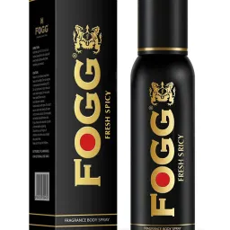 Fresh Spicy Premium No Gas Body Spray-For Men-image-31