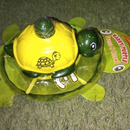 Harry Turtle -Push & Go/Friction Powered Toys-image-8