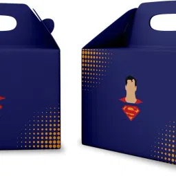 Printed Party Box-10
