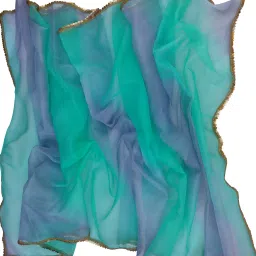 Organza Solid Green, Light Blue Women Dupatta-image-12