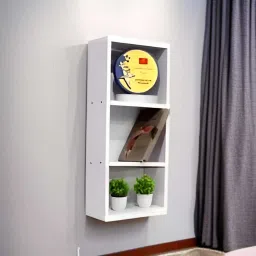 Practical Board Engineered Wood Open Book Shelf-18