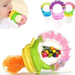 dhochak Fruit and Food Nibbler, Food Feeder With Rattle Soother-picture-10