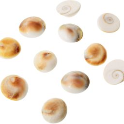 Stone Gomti (5 cm x 4 cm x 0.02 cm, White, Pack of 11) Regular Round, Oval Rock Stone-image-48