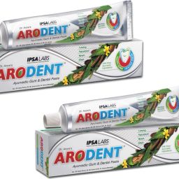 Ayurvedic Gum & Dental Paste 50gms (Pack of 2) Toothpaste-image-49