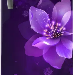 207 L Direct Cool Single Door 3 Star Refrigerator-picture-15