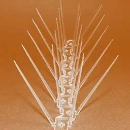 Bird Spike-picture-1