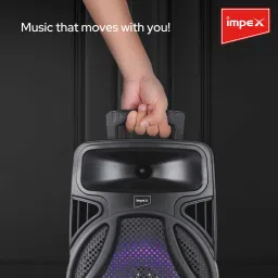 IMPEX Trolley Speaker TS 2025 20 W Bluetooth Party Speaker image 5