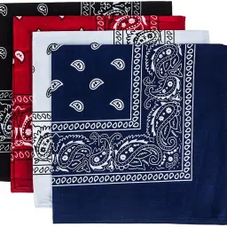 Good Shopkeeper Black, Red, White and Dark Blue paisley 20inchesx20inches cotton handkerchief ["Black, Red, White and Dark Blue"] Handkerchief-image-28