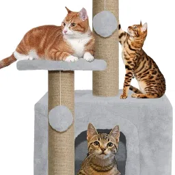 Condo with Scratching Post Free Standing Cat Tree-image-30