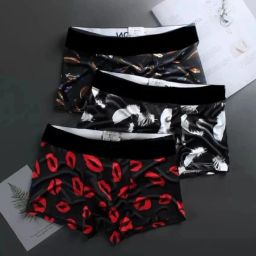 Camouflage, Animal Print, Floral Print, Printed, Geometric Print, Colorblock, Graphic Print Men Brief-image-15