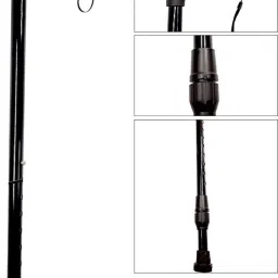Walking Stick Walking Stick-24