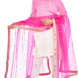 Net Embellished Pink Women Dupatta-image-22