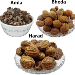AMLA BHEDA HARAD Seed-image-27