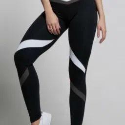 Solid Women Multicolor Tights-image-63